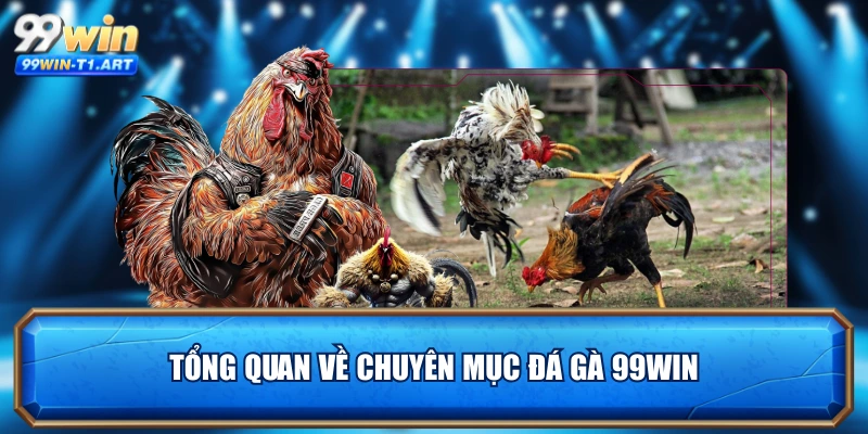 Tổng quan về chuyên mục đá gà 99WIN