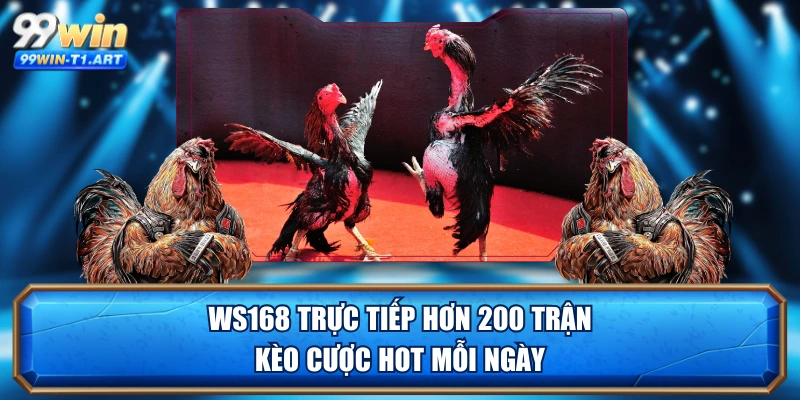 WS168 trực tiếp hơn 200 trận, kèo cược hot mỗi ngày